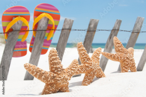 Foto: starfish by flip flops starfish by flip flops