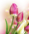 Flowers border. Anniversary Card Design Flowers border. Anniversary Card Design