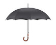 Open Umbrella