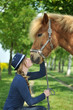 Islandpony
