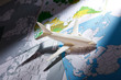 ����: airliner with a maps � Maksim Shebeko #32356417