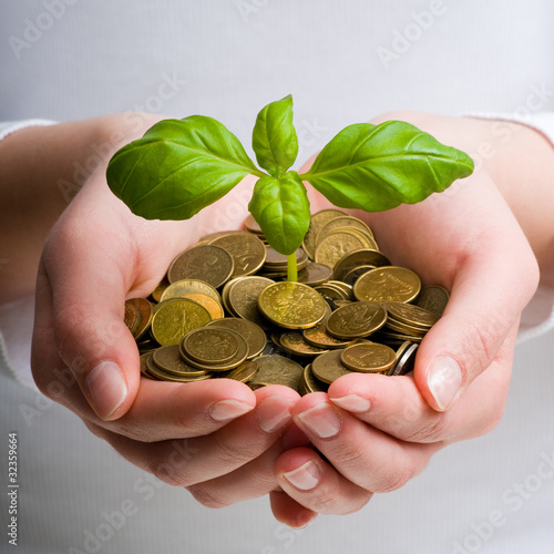 Photo: New business perspective - seedling in coins New business perspective - seedling in coins