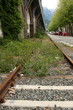 Foto: Schienen Schienen