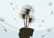 Bouquet of dandelions Bouquet of dandelions