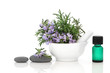 Rosemary Herb Spa Treatment