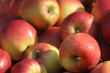 Frische rote Äpfel