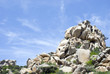 Valle della Luna