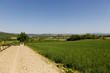 Umbria, panorama primaverile