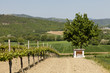 Umbria, panorama primaverile