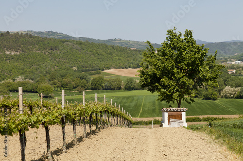 photo par anghifoto
