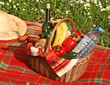 basket of picnic on the grass