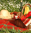 basket of picnic on the grass