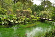 Ninfa IV