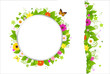 Circle And Border From Flowers