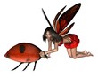 Red Ladybird Fairy Red Ladybird Fairy