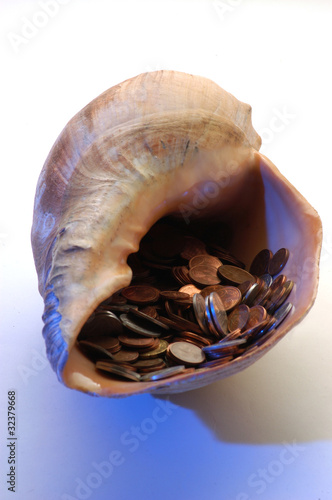 Photo: Conchiglia con soldi Conchiglia con soldi