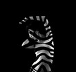 Zebra striped woman