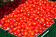 Foto: tomaten tomaten