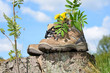 Wanderschuhe Sommer Pause Wandern