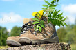 Wanderschuhe Baumsatmm Sommer Wanderschuhe Baumsatmm Sommer