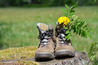 Wanderschuhe Sommer Pause Wandern Wanderschuhe Sommer Pause Wandern