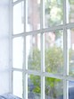 altbau, fenster