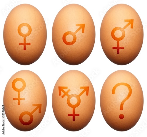 Illustration: Egg gender Egg gender