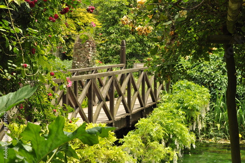 Photo: Ninfa VII Ninfa VII