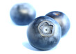 Heidelbeeren 2