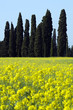 Tuscany