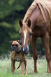 Photo: Friends Friends