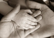 hAND-in-Hand