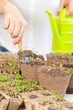 A hand watering green leaves