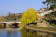 Rivière de la Sarthe du Mans avec un saule pleureur en France Rivière de la Sarthe du Mans avec un saule pleureur en France