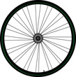 Bike wheel