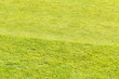 Golf green Golf green