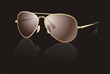 Vektor: Sun Goggles vector Sun Goggles vector