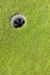 Golf hole on putting green Golf hole on putting green