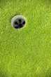 Golf hole on putting green Golf hole on putting green