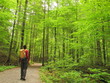 Wanderung im Wald