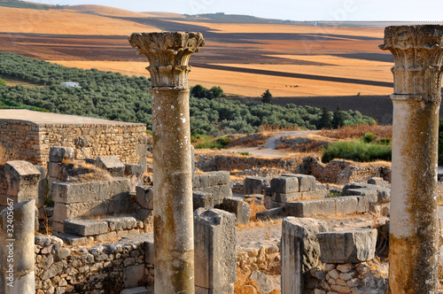 Foto: Rovine romane a Volubilis - Marocco Rovine romane a Volubilis - Marocco