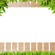 Wooden fence