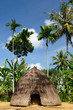 Indonesia, Timor, Head hunter village