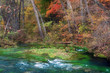 autumn leaves and trees on river