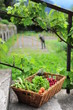 Bio jardin