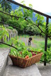 Jardin Bio