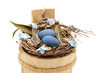 Vogelnest mit Eier