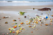 Pollution on the beach in India