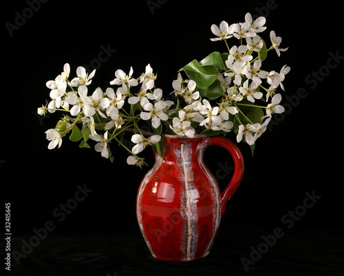 Photo: Bouquet of flowers and blossoms of cherries isolated on black Bouquet of flowers and blossoms of cherries isolated on black