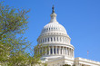 The Dome of the U.S. Capitol Against a Bright Blue Sky The Dome of the U.S. Capitol Against a Bright Blue Sky